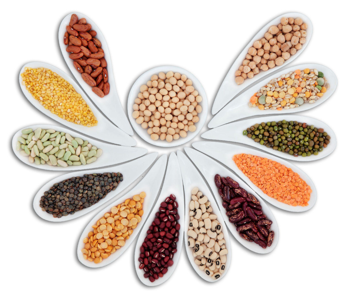 Beans