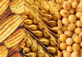 India-US Deal in Nov; India to Import US Soyabean, Corn and Certain Dairy Products